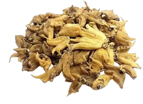 Salam Panja