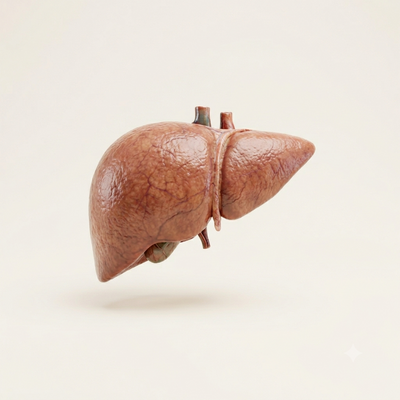 Liver Care