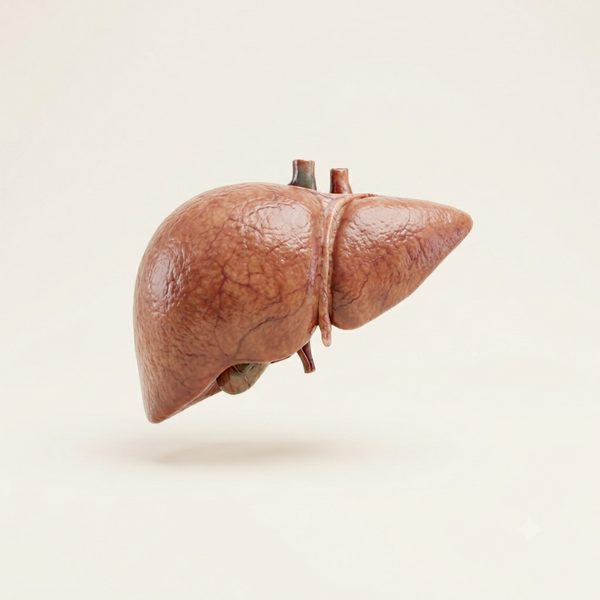 Liver Care