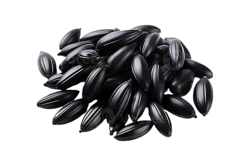 Kalonji