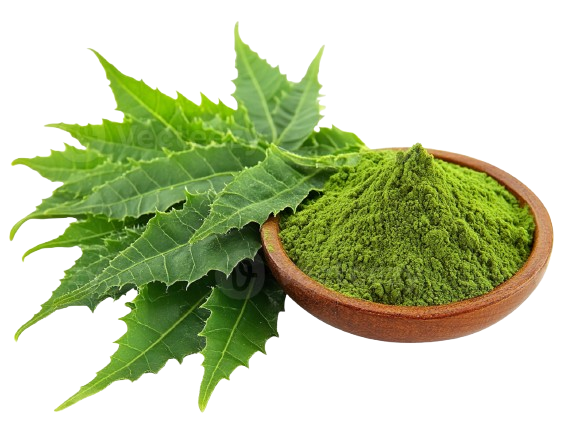 Neem